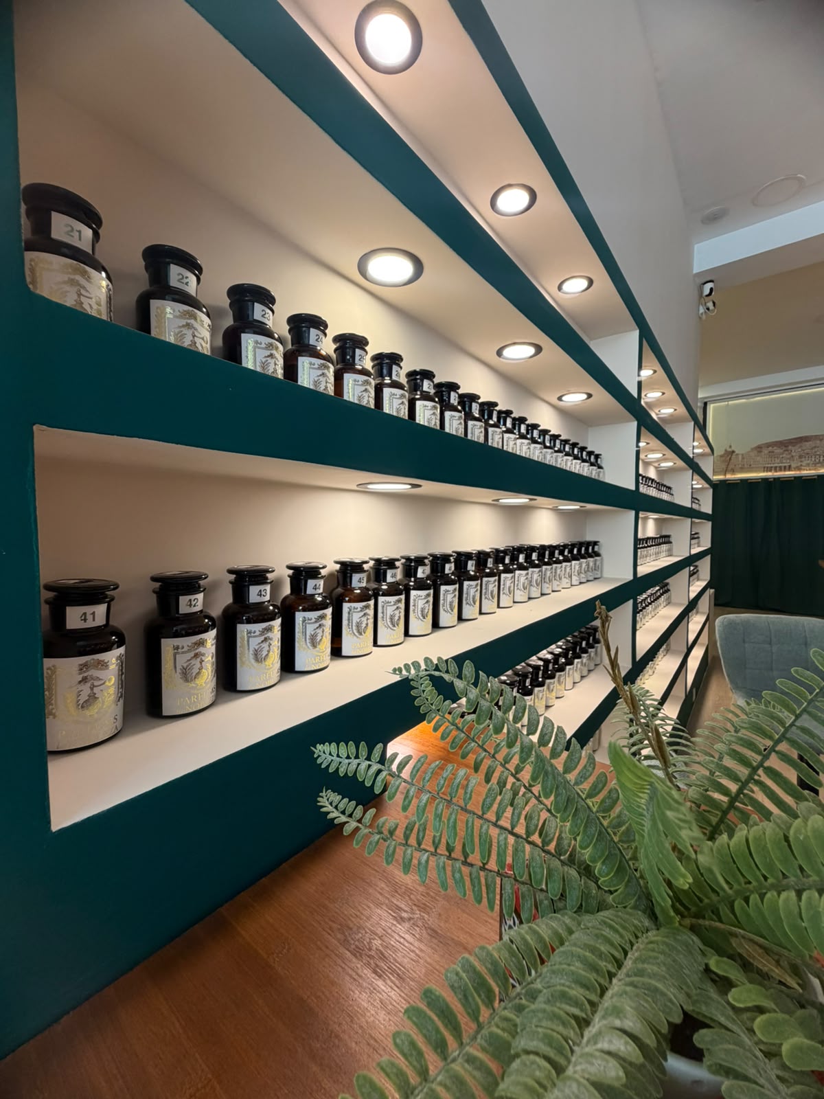 Interior de la boutique Parfums la Nobleza en Alicante